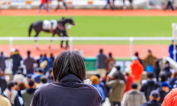 競馬の疲れを知るならこれ！競走馬の消耗度とパフォーマンスの関係性