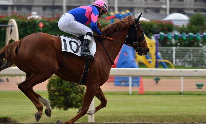 【初心者必読】馬券購入時と競馬場のルールをわかりやすく解説！