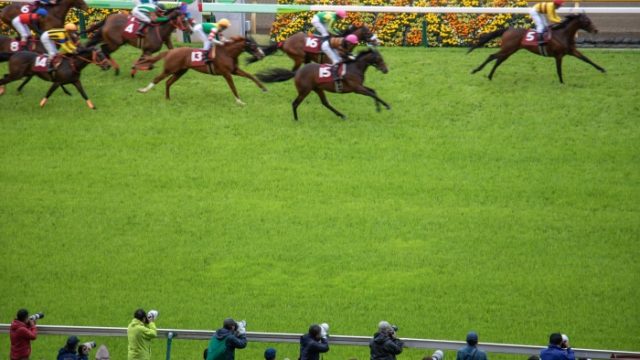 競馬で平均回収率を上げるための戦略とは？回収率向上への道！