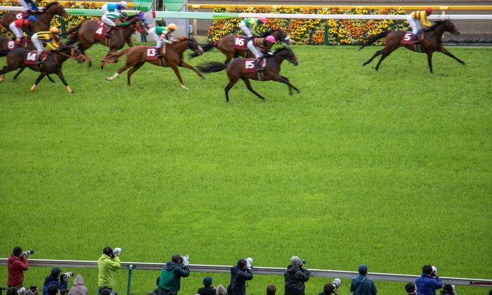 競馬で平均回収率を上げるための戦略とは？回収率向上への道！