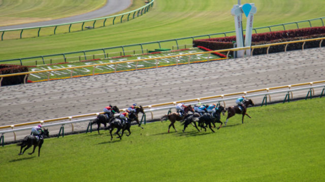 競馬のロングスパートとは、レース終盤での力強いスパートを指します。ロングスパートを活用するには、馬の能力向上や調教が重要です。この競技スタイルには、他の競走馬に対するアドバンテージや長距離レースでの優位性があります。適切なタイミングは、レース終盤の直線が遠い場合です。ロングスパートを持つ馬は持久力と俊足を兼ね備えています。競馬のファンには、ロングスパートの理論やトレーニング方法を学ぶことをお勧めします。