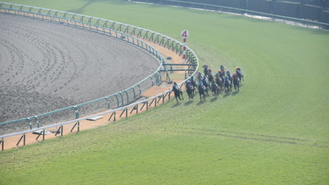 競馬の還元率（払戻率）とは？一覧と勝てないを勝てるに変える方法を紹介！