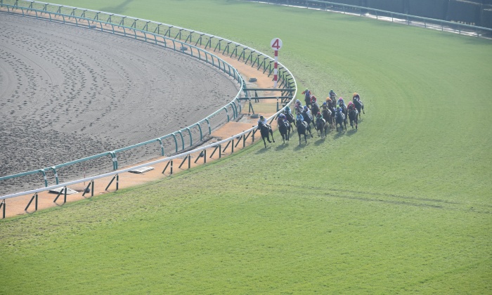 競馬ファン必読！「ズブい」の意味とレースへの影響を分かりやすく解説します