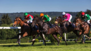 競馬のワイド馬券で絶対に押さえるべきポイントとは？初心者でも勝てる賭け方も紹介！