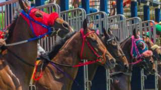 競馬の枠順の決め方とは？発表のタイミングと有利不利についても解説！