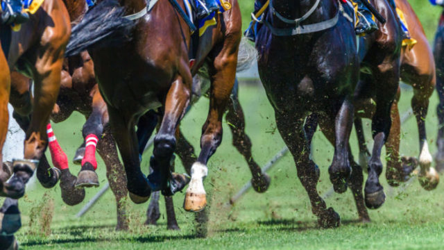 競馬の流しとは？予想方法と的中率向上のポイントを解説！