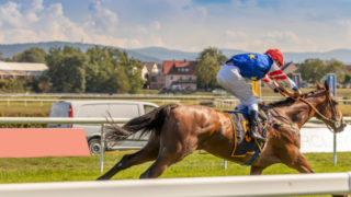 【競馬入門】日本ダービーとは？意味や由来と歴代の優勝馬を紹介！