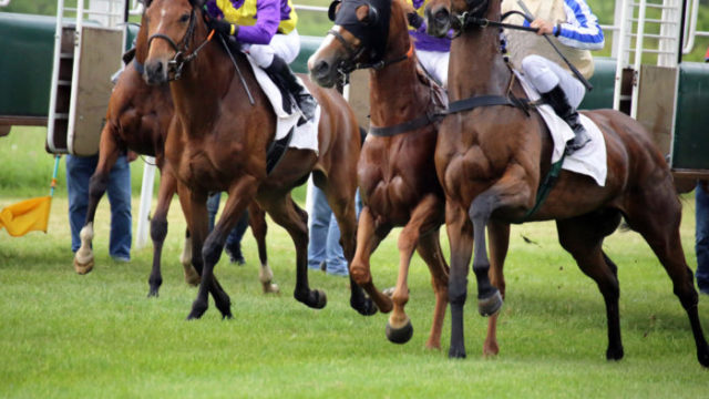 競馬のハンデ戦とは？斤量の決め方と攻略法を伝授！