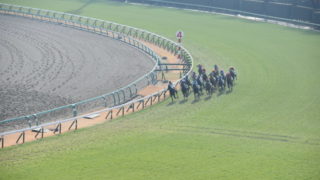 一度で的中！競馬の枠連とはどんな馬券？買い方を解説！