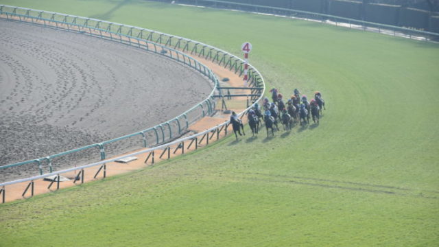 初心者でも理解しやすい! 競馬用語の意味を詳細解説