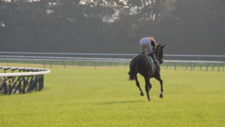 競馬で馬券が当たらない人の共通点とは？解決方法も紹介！