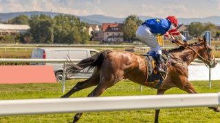 【必勝法】競馬は単勝が最強？単勝を使った勝ち方と買い方のコツ3選！