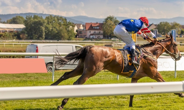 【必勝法】競馬は単勝が最強？単勝を使った勝ち方と買い方のコツ3選！